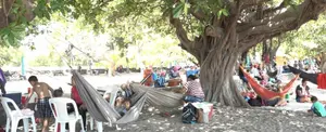Granada cautiva a turistas con sus diversas opciones