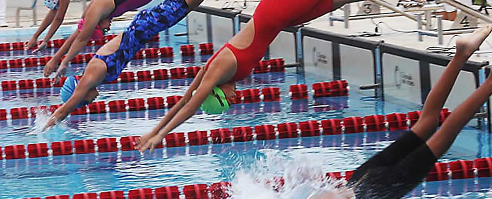 Nadadores buscan mejorar marcas en Torneo Nacional de Piscina Larga