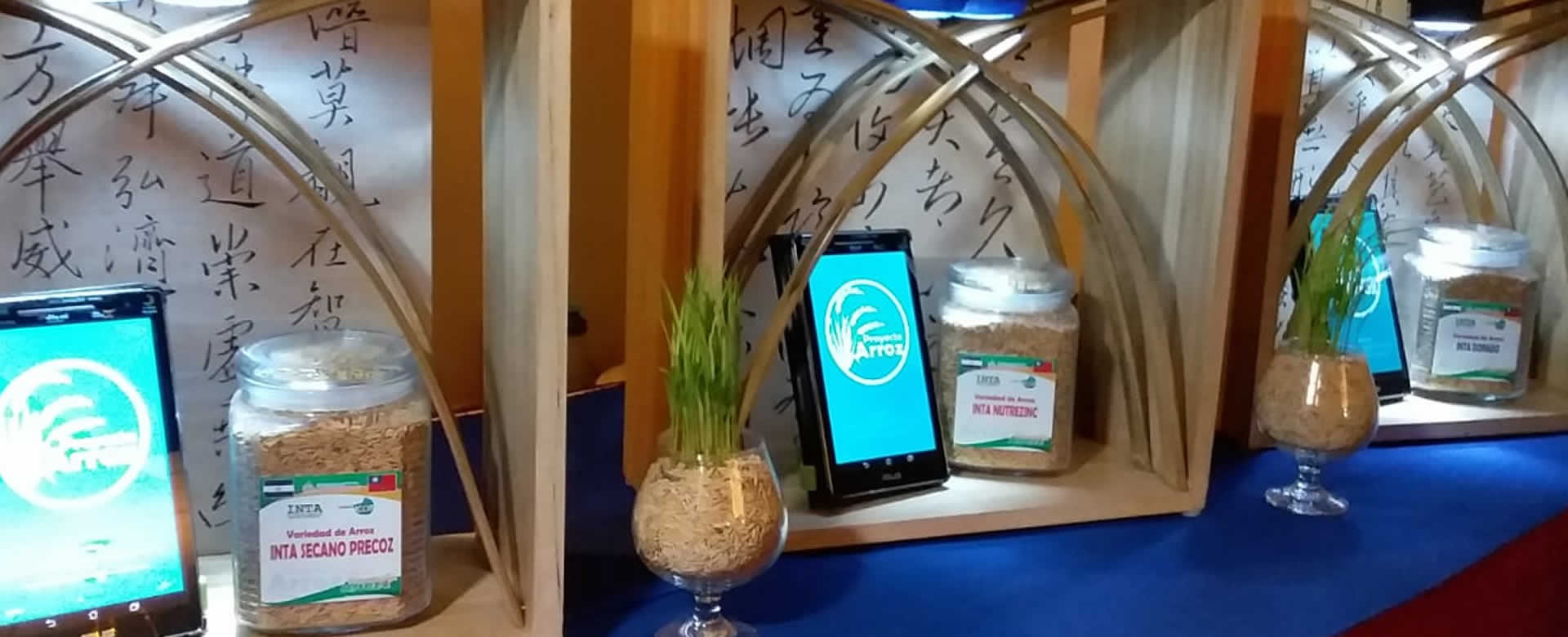 Aplicación móvil "Arroz Nica" ayudará a productores de arroz a mejorar productividad