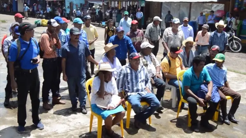 Agricultores Caribe plantas cacao