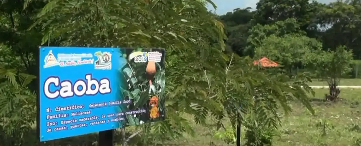 Inauguran segunda etapa del Arboretum Municipal en Villa El Carmen