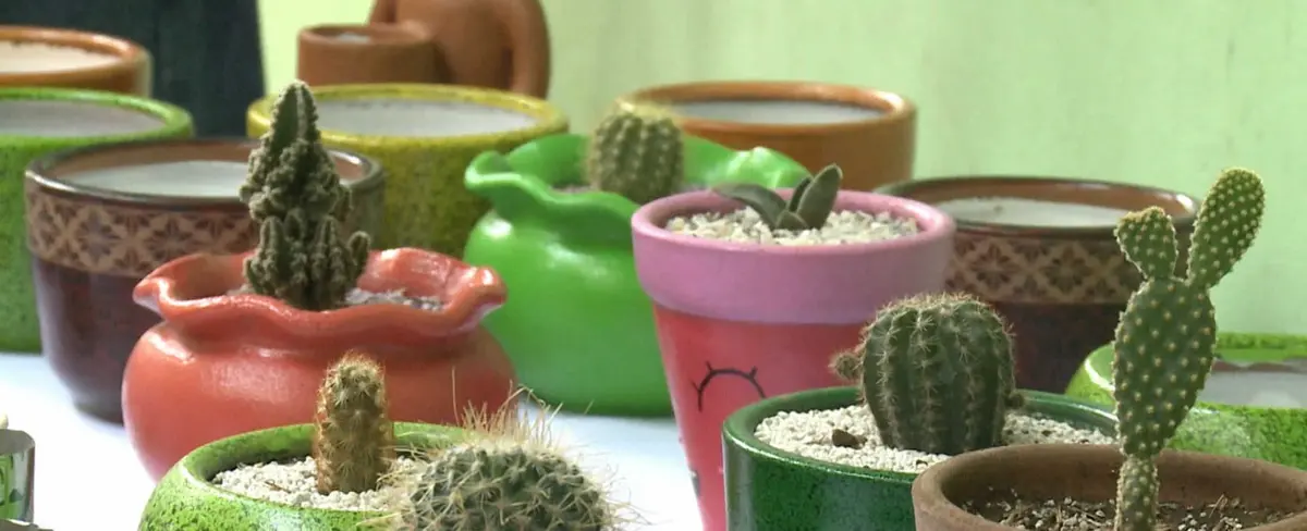 Nicaragua desarrolla plan de emprendimiento para promover especies exóticas