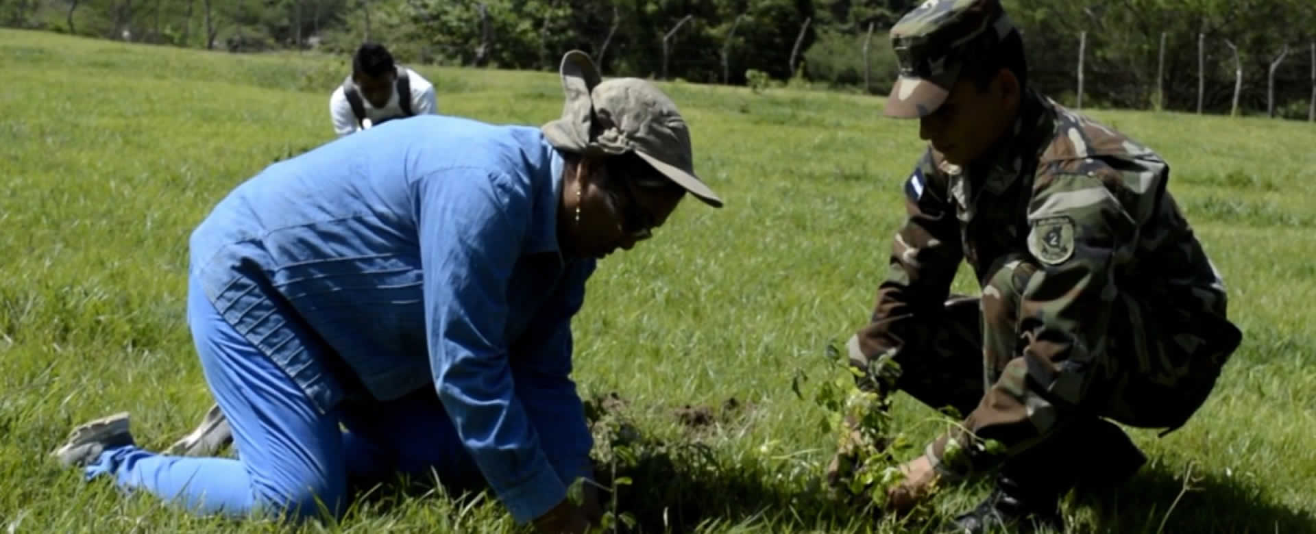 MARENA realiza jornada de reforestación en el Río Negro, Chinandega