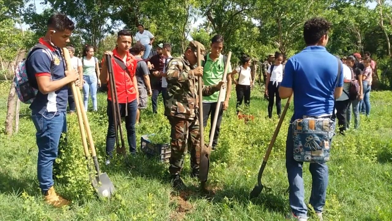 Marena jornada reforestación