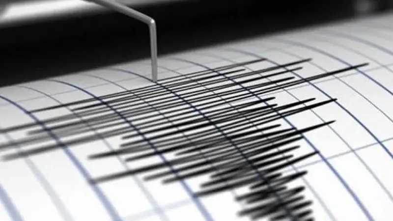 Nueva Zelanda con alerta de tsunami tras fuerte sismo de 7.4