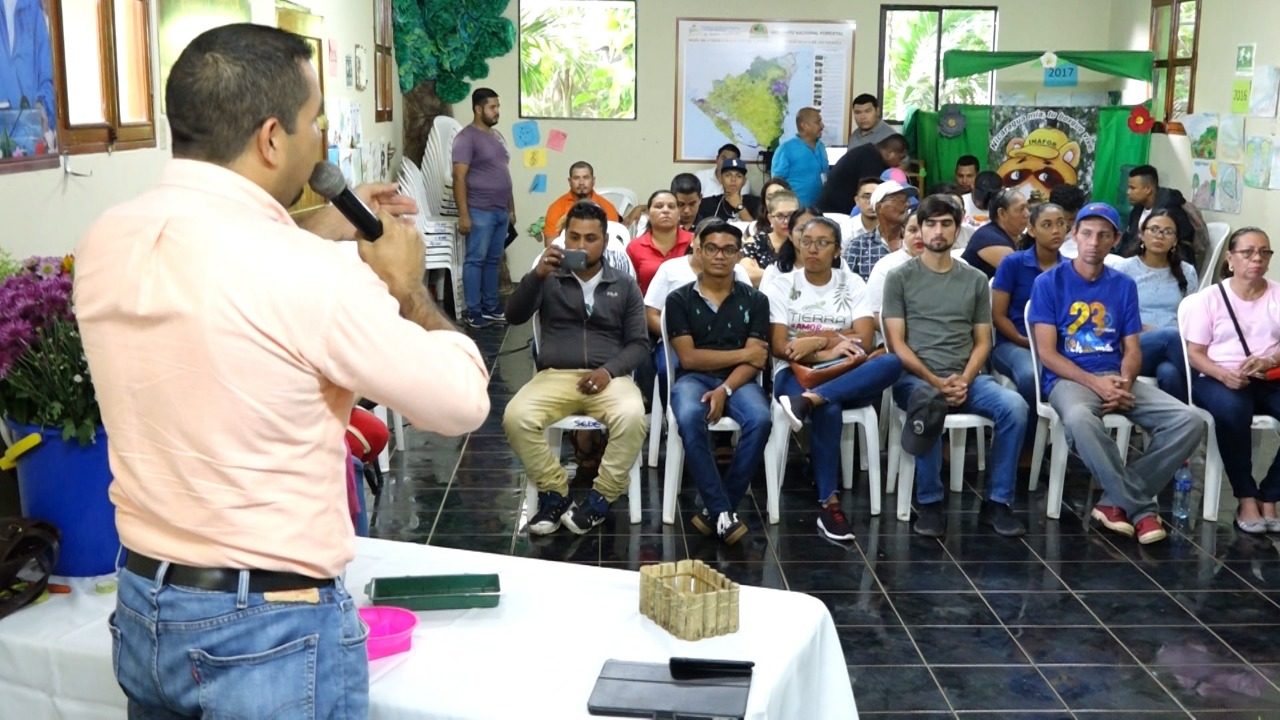 Impulsan la economía creativa de emprendedores de plantas y flores
