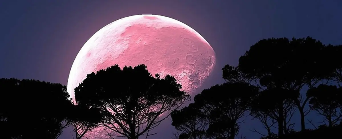 Luna de fresa 2019: ¿Cómo y cuando verla?