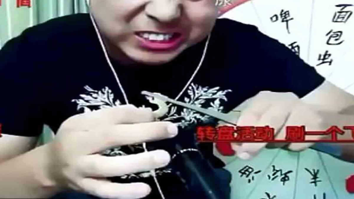 China: fallece un bloguero en directo mientras comía insectos venenosos