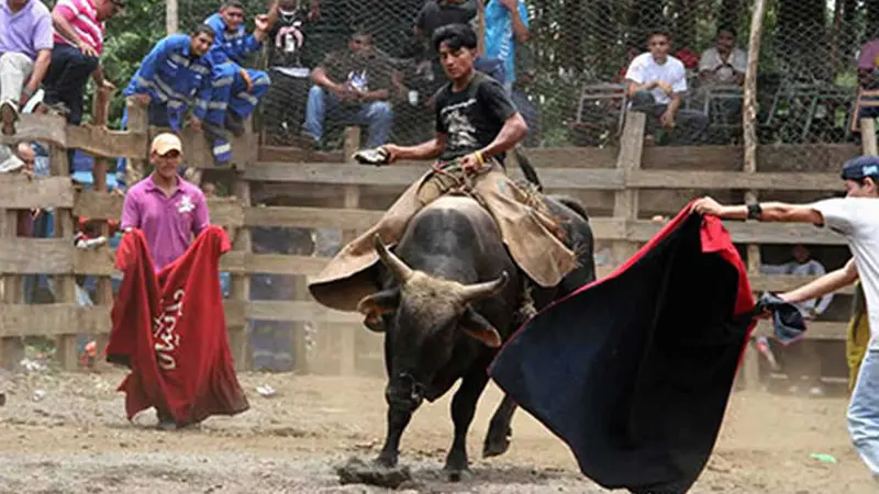 Corrida de toros da inicio a las fiestas patronales de Boaco