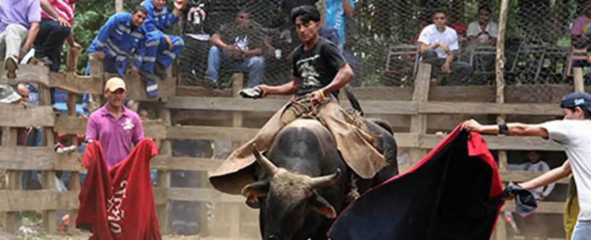 Corrida de toros da inicio a las fiestas patronales de Boaco