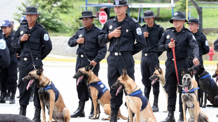 Dirección policiales unidades cinófilas
