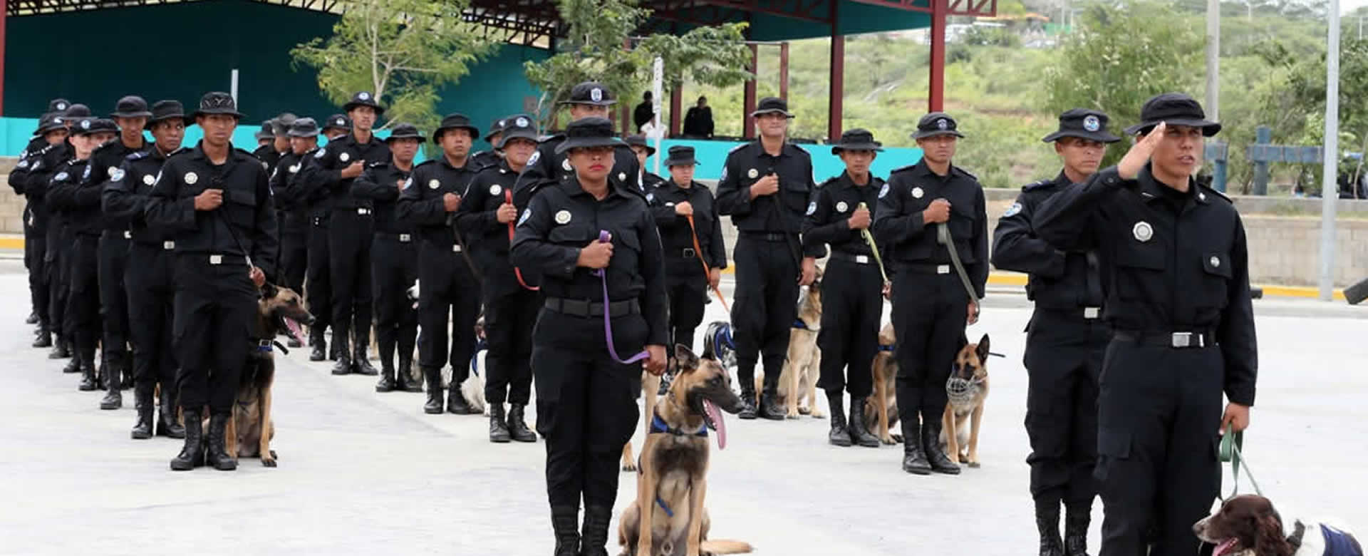Dirección de Operaciones Especiales y Policiales culmina curso de unidades cinófilas