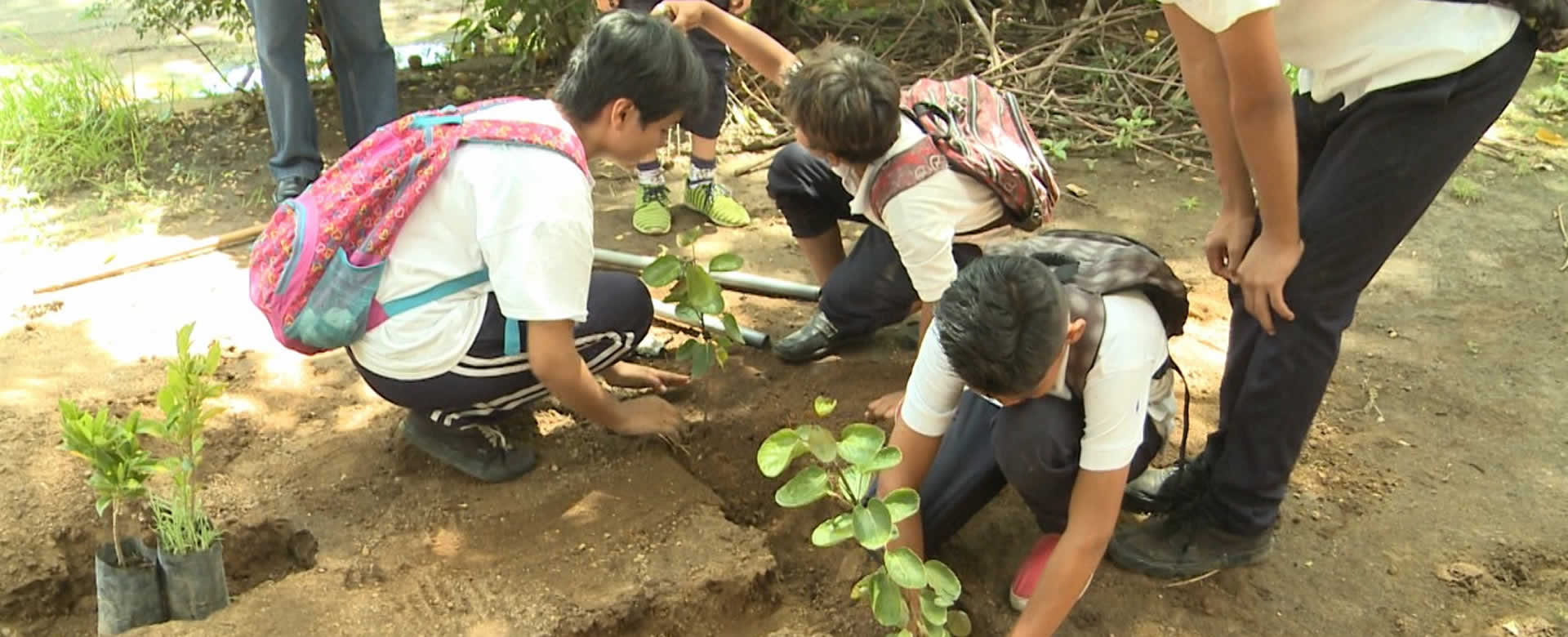 Estudiantes participan en jornada de Reforestacion en el Instituto Rigoberto López Pérez