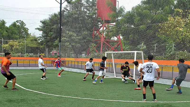 Experto curso fifa entrenadores