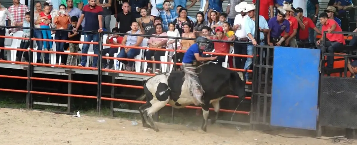 Inicia tardes taurinas en honor a las fiestas patronales de Santo Domingo