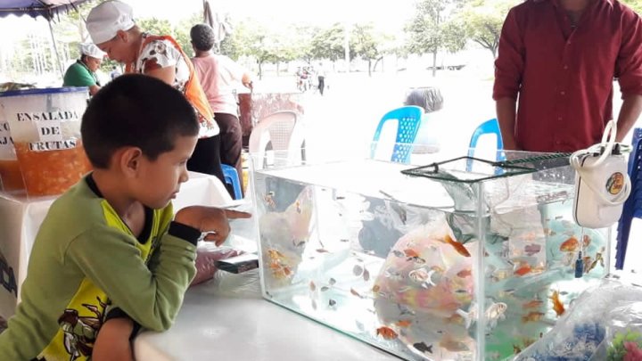 INPESCA continúa promoviendo a emprendedores de la feria del mar