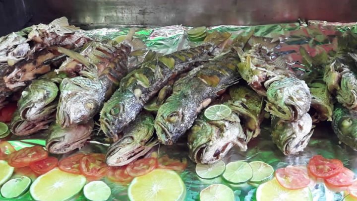 INPESCA continúa promoviendo a emprendedores de la feria del mar