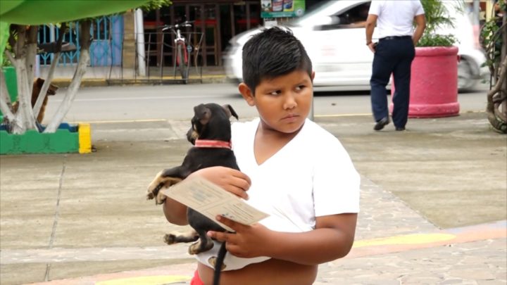 ornada vacunación canina Masaya