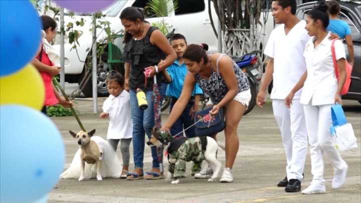 ornada vacunación canina Masaya