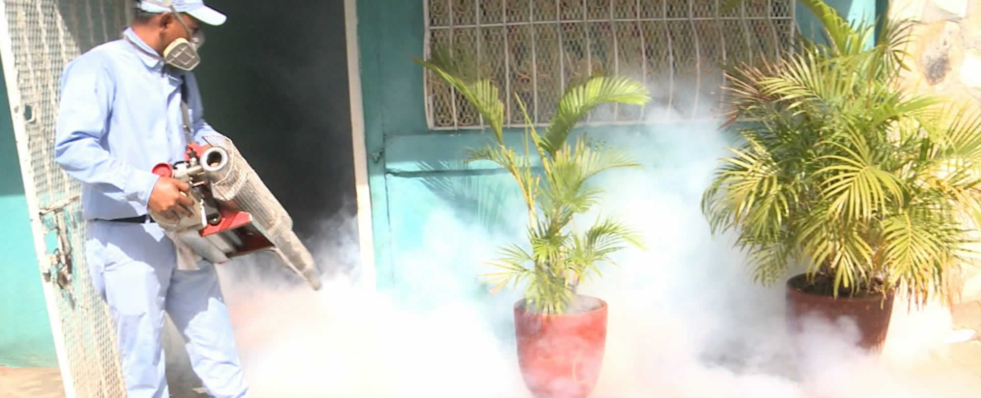 Limpieza, fumigación y abatización son las claves para eliminar el zancudo