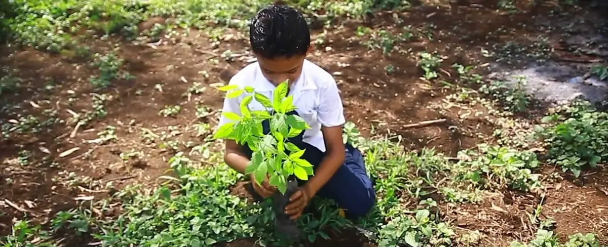 MARENA e INAFOR presentan informe del trabajo realizado para el cuido de la naturaleza