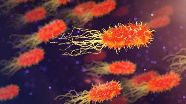 Muere norteamericano a causa de bacteria carnívora