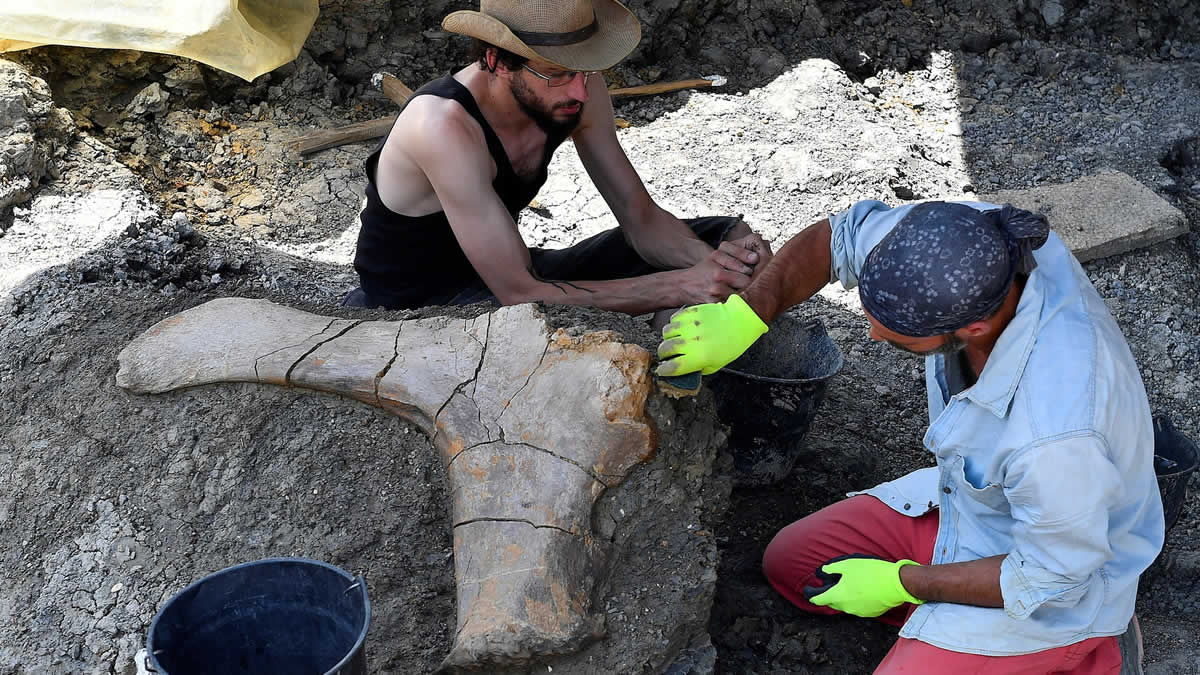 Paleontólogos encuentran un enorme hueso perteneciente a la era jurásica en Francia