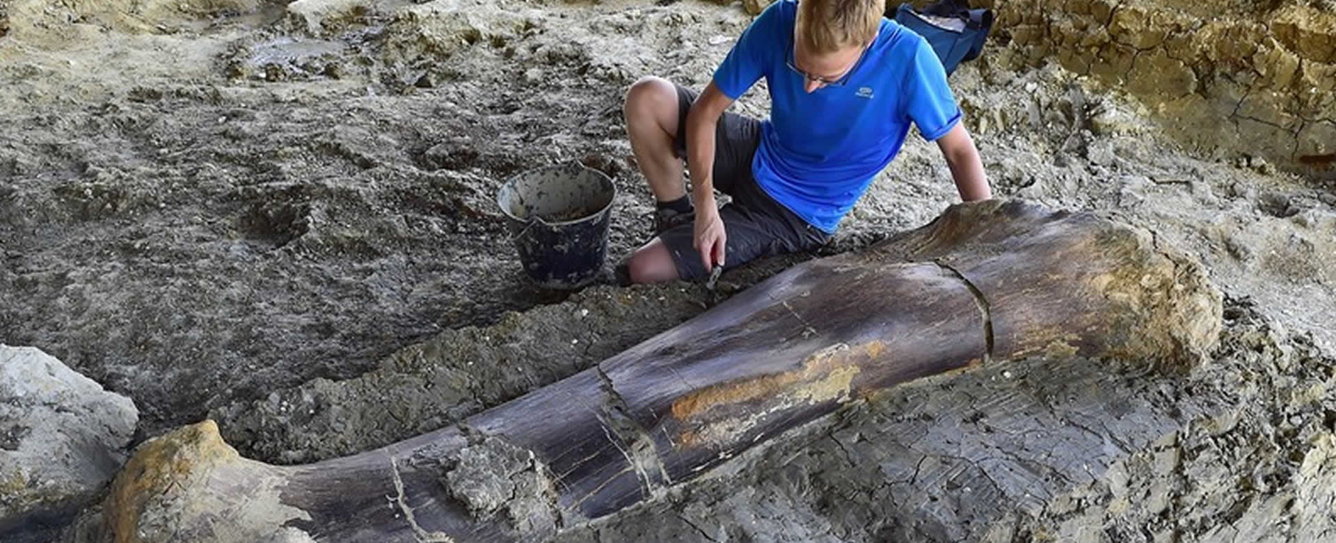 Paleontólogos encuentran un enorme hueso perteneciente a la era jurásica en Francia