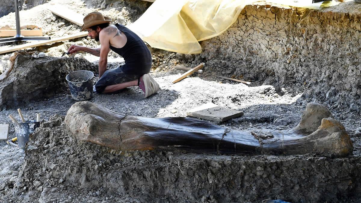 Paleontólogos encuentran un enorme hueso perteneciente a la era jurásica en Francia
