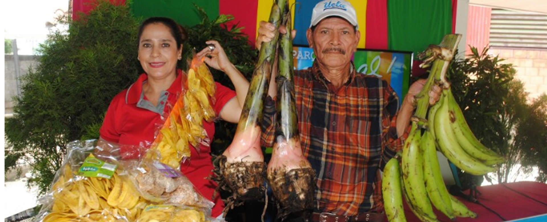Parque Nacional de Ferias promueve los derivados del plátano