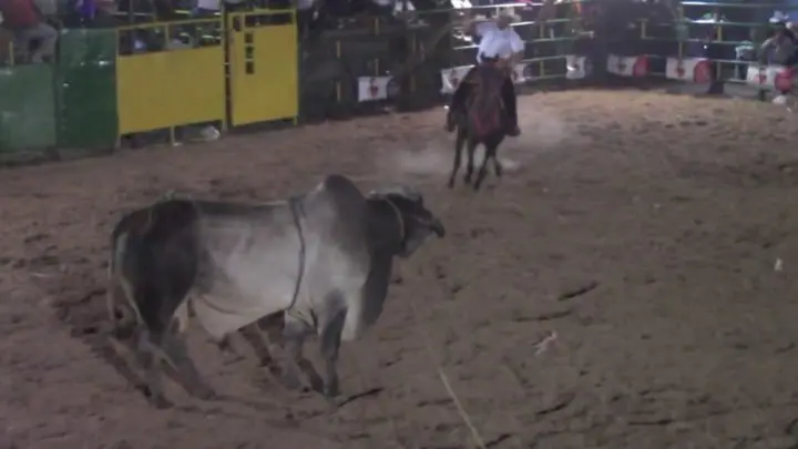 Rodeo Sebaco fiestas patronales