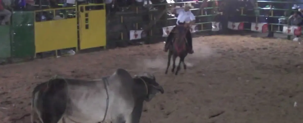 Rodeo Gadea le pone diversión y alegría a las fiestas patronales de Sebaco
