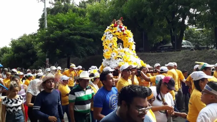 Roza camino santo domingo 