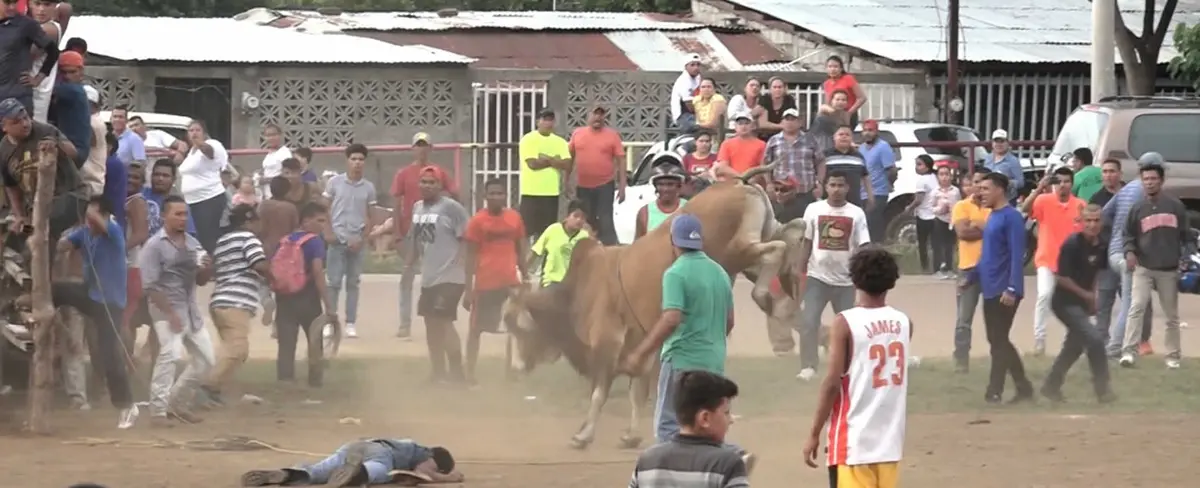 San Judas inicia las tradicionales corridas de toros en honor a Minguito