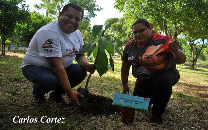 Inauguran Arboretum en memoria de los Héroes de la Paz 