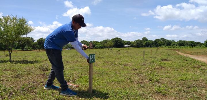 Lotes Bismarck Martínez listos para ser entregados en Masaya