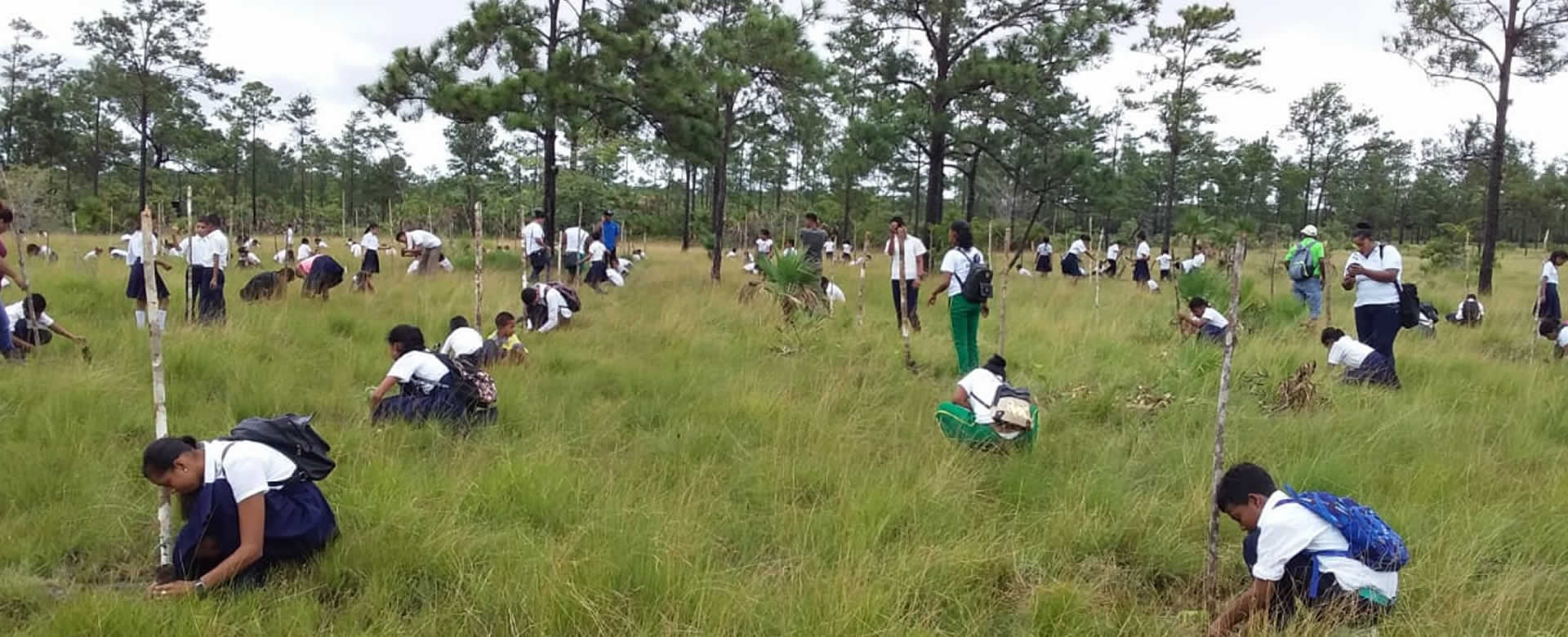 INAFOR realiza lanzamiento de Cruzada de Reforestación en Karawala
