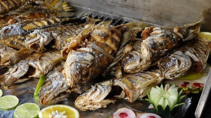 INPESCA realiza con éxito Feria de la Alegría en sus oficinas centrales