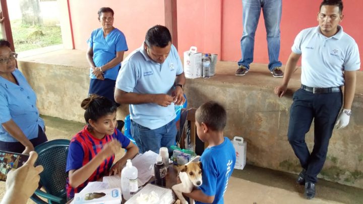 Bluefields se suma a la Jornada Nacional de Vacunación Canina