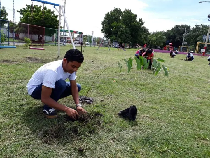 Jóvenes realizan jornada de reforestación en homenaje al Comandante Julio Buitrago
