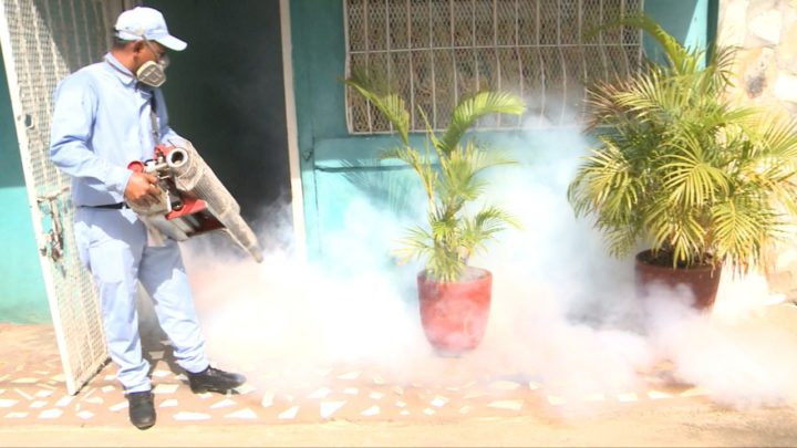 Limpieza, fumigación y abatización son las claves para eliminar el zancudo