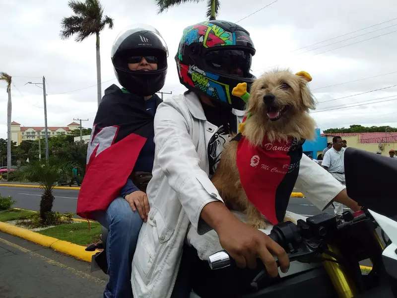 Las mejores fotografías de la 40 Reedición del Repliegue