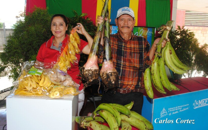 Parque Nacional de Ferias promueve los derivados del plátano