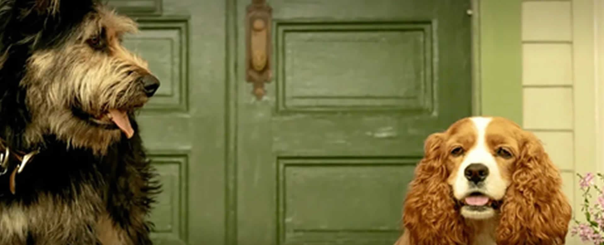 Disney revela el tráiler del remake de “La Dama y El Vagabundo”