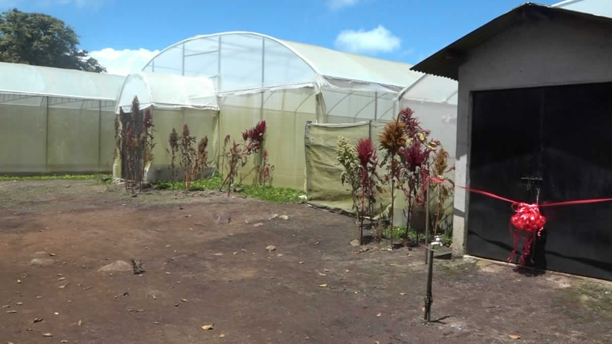 INTA inaugura el laboratorio de Producción de Plántulas sanas en Estelí