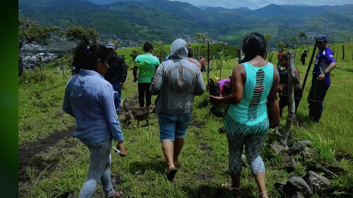 Más de 30 especies forestales estarán en el Tercer Arboretum de Estelí