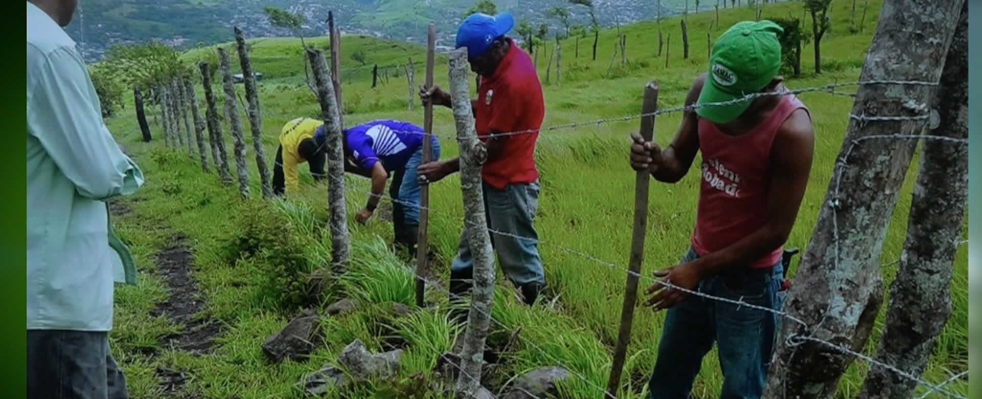 Más de 30 especies forestales estarán en el Tercer Arboretum de Estelí