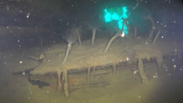 Primeras imágenes del legendario barco "caníbal" hundido hace 174 años