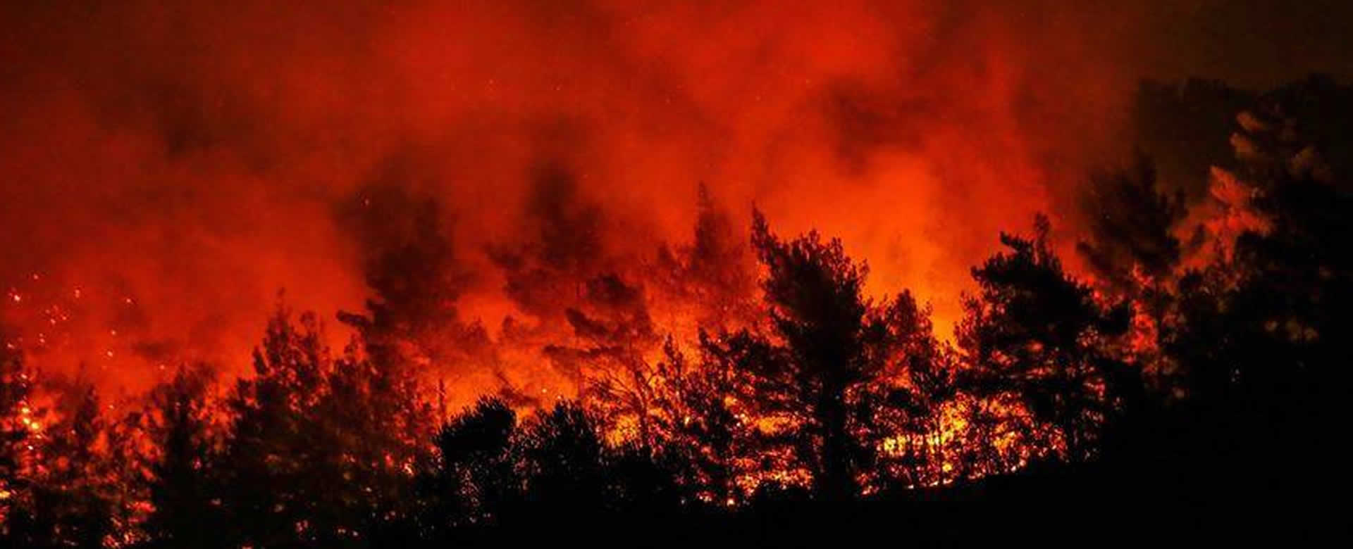 Supuesta lluvia en el Amazona engaña a usuarios de redes sociales