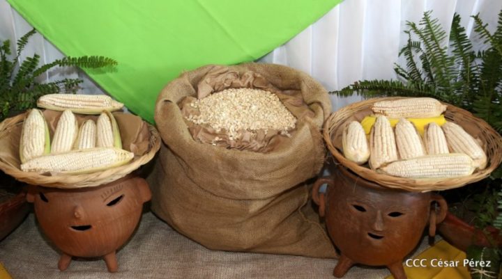 Todo listo para la Feria del Maíz este fin de semana
